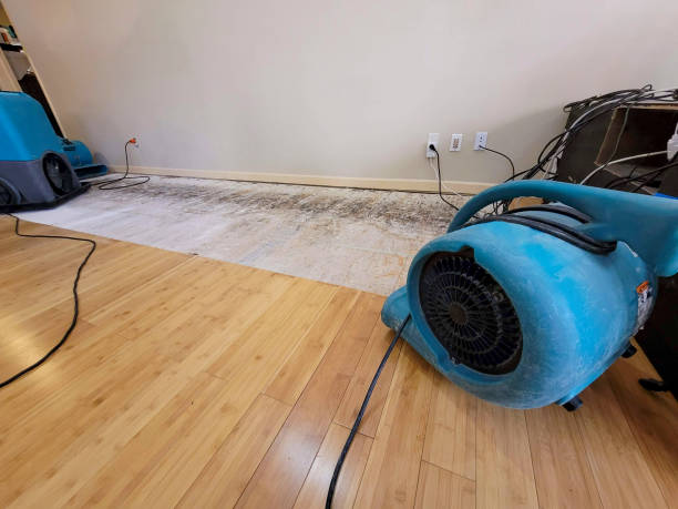 Professional Sewage Cleanup technician working in Fair Haven, NJ
